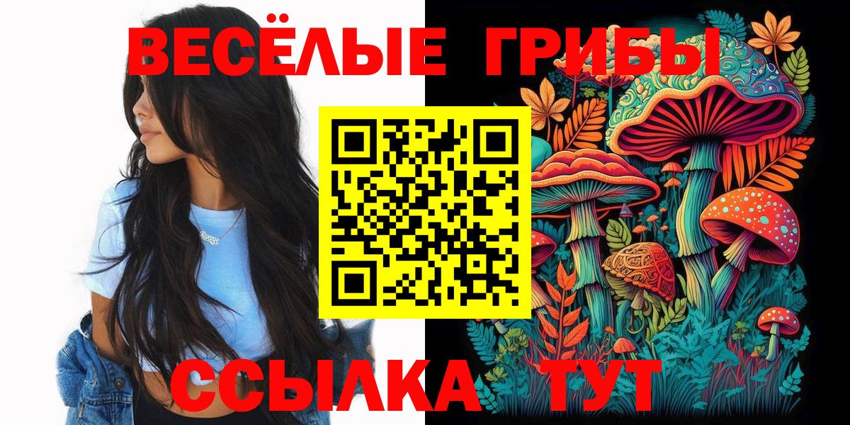 Псилоцибиновые грибы Cubensis Рубцовск