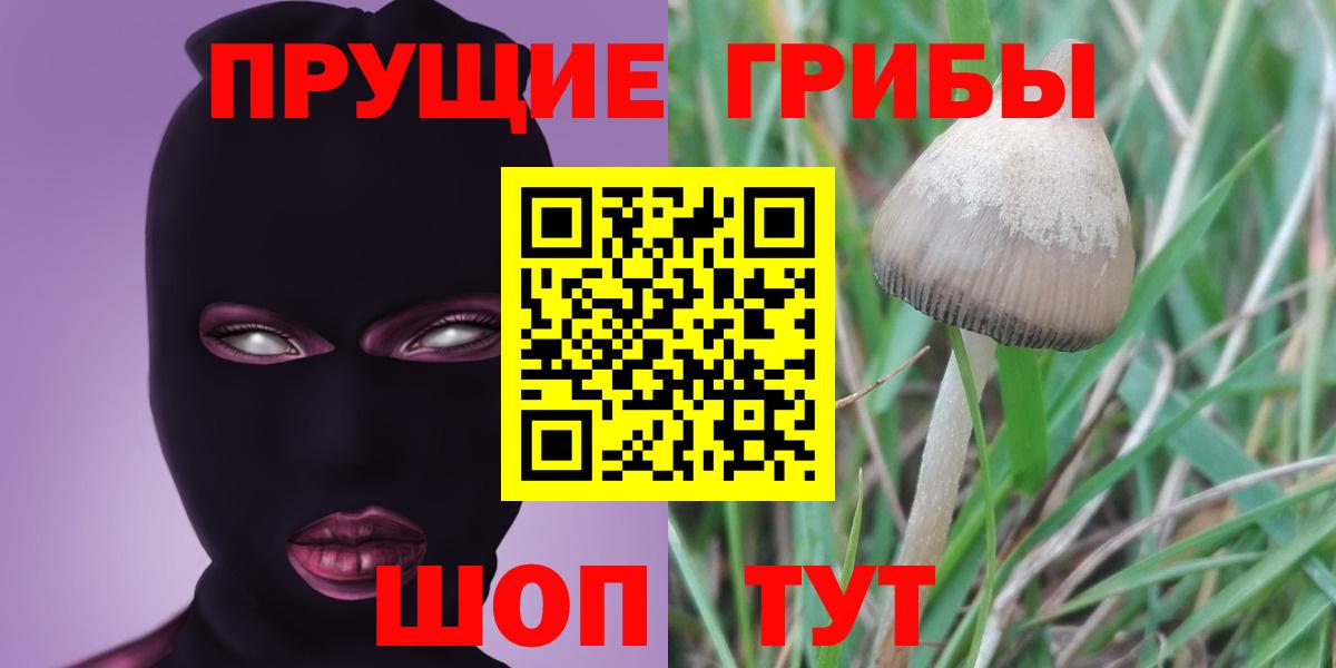 Рубцовск  Галлюциногенные грибы мухоморы  цены   Вход с VPN 